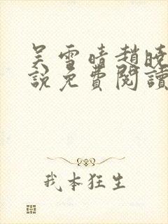 吴雪晴赵晓东小说免费阅读