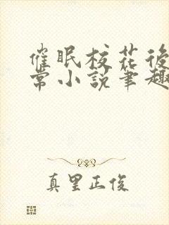 催眠校花后的日常小说笔趣阁