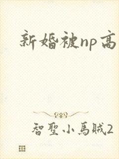新婚被np高h