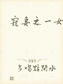 宠妻之一女二夫