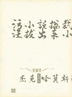 污小说总裁整夜没拔出来小说在线阅读