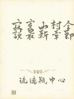 寂寞山村全部小说最新章节