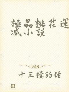 极品桃花运未删减小说封面