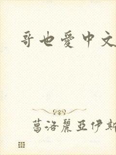哥也爱中文