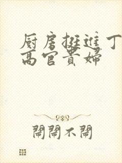 厨房挺进丁字裤高官贵妇