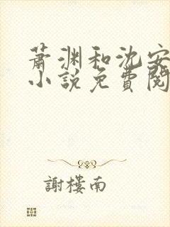 萧渊和沈安安的小说免费阅读