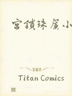 宫锁珠帘小说