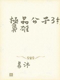 极品公子3续世枭雄