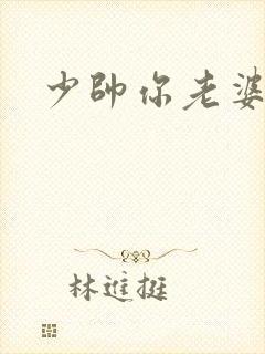 少帅你老婆