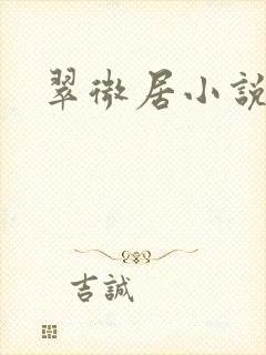 翠微居小说