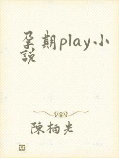 孕期play小说