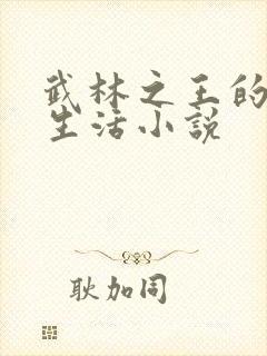 武林之王的退隐生活小说