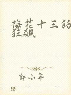 梅花十三的乳液狂飙