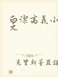 白洁高义小说全文