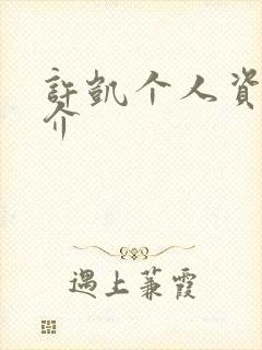 许凯个人资料简介