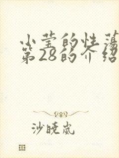 小莹的性荡生活第28的介绍