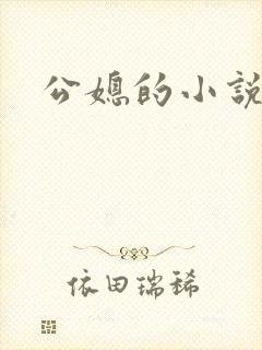公媳的小说