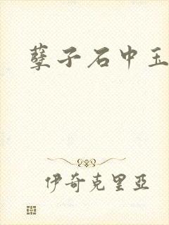孽子石中玉