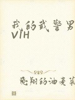 我的武警男友1V1H