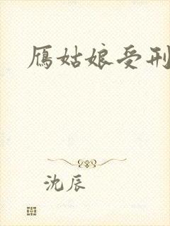 雁姑娘受刑记封面