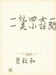 一炕四女一共侍一夫小说阅读