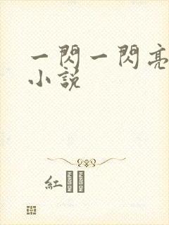 一闪一闪亮星星小说