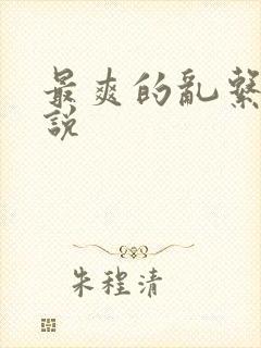 最爽的乱系列小说