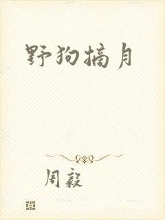 野狗摘月