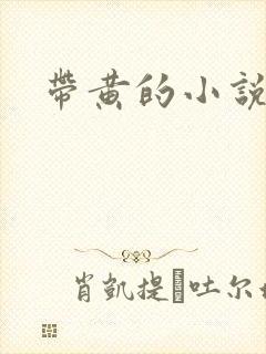 带黄的小说