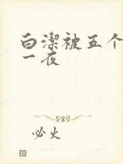 白洁被五个人玩一夜