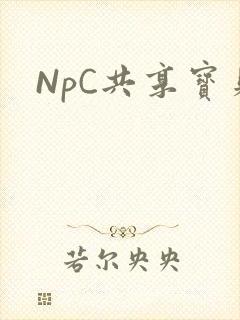 NpC共享宝贝