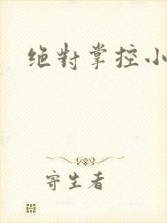 绝对掌控小说