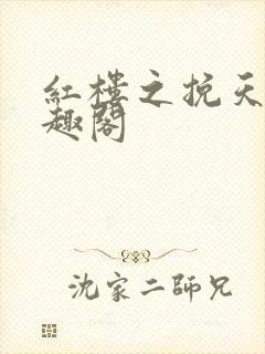 红楼之挽天倾笔趣阁