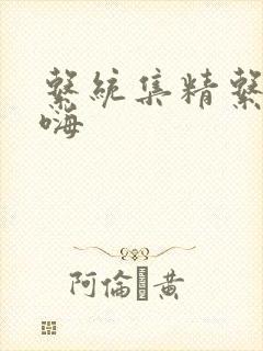 系统集精系统高嗨