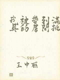 我被带到满是玩具的房间挑调游戏