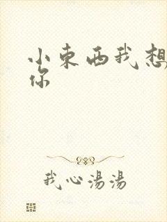 小东西我想弄坏你