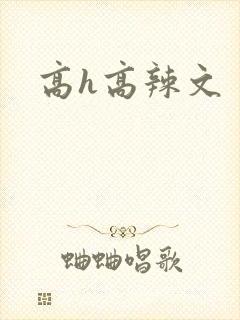 高h高辣文