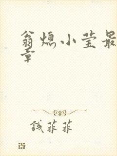 翁熄小莹最新节章