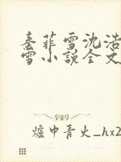 秦菲雪沈浩秦菲雪小说全文免费阅读求书