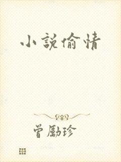 小说偷情