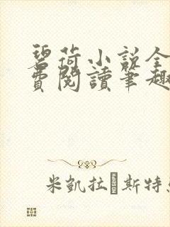 碧荷小说全文免费阅读笔趣阁