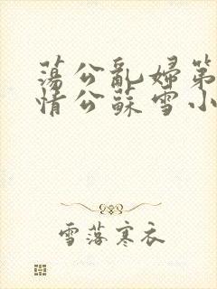 荡公乱妇第1章情公苏雪小说