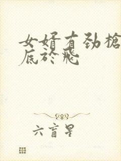 女婿有劲枪枪到底于飞