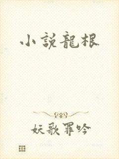 小说龙根封面