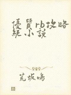 优质rb攻略系统小说