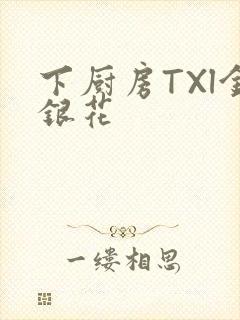 下厨房TXl金银花