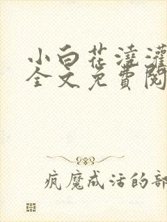 小白花浇灌日常全文免费阅读