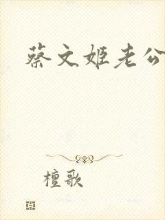 蔡文姬老公封面