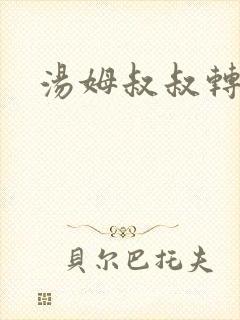 汤姆叔叔转接口