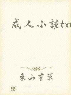 成人小说txt